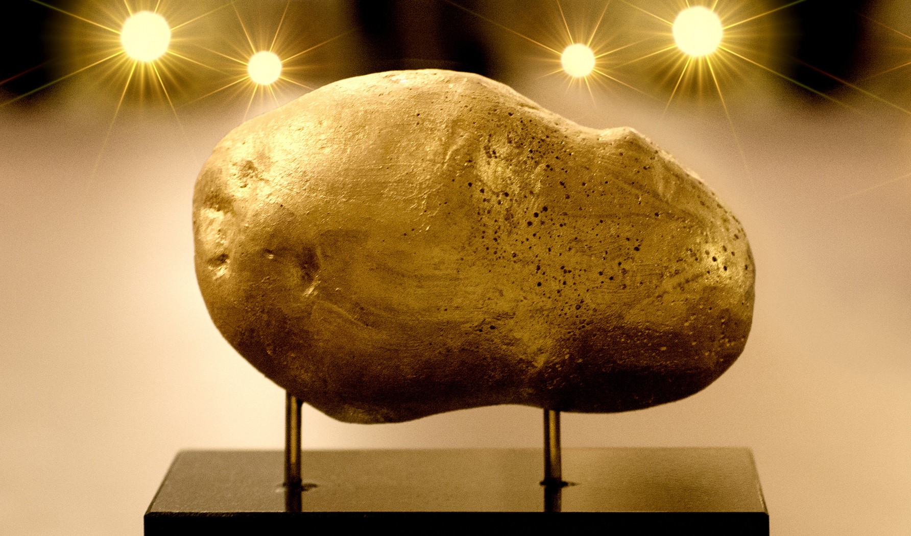 Die "Goldene Kartoffel" der neuen Deutschen Medienmacher*innen. Foto: NDM
